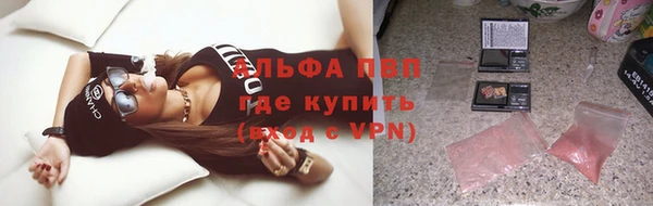 сатива Надым