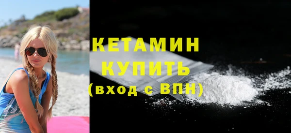 сатива Надым