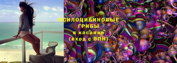 сатива Надым