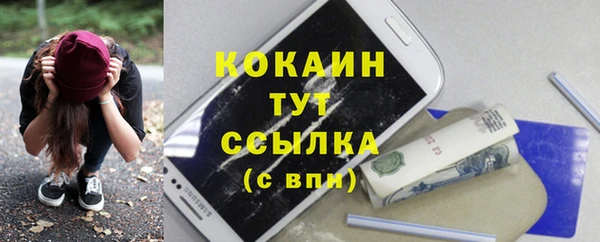сатива Надым