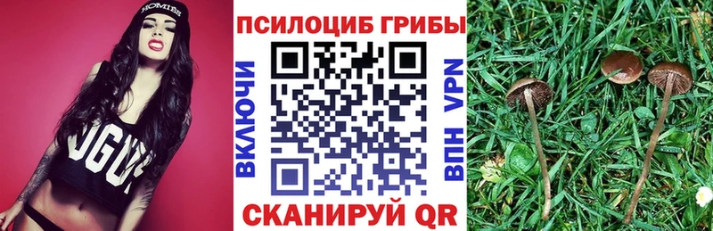 Галлюциногенные грибы Cubensis  Купить  Ак-Довурак 